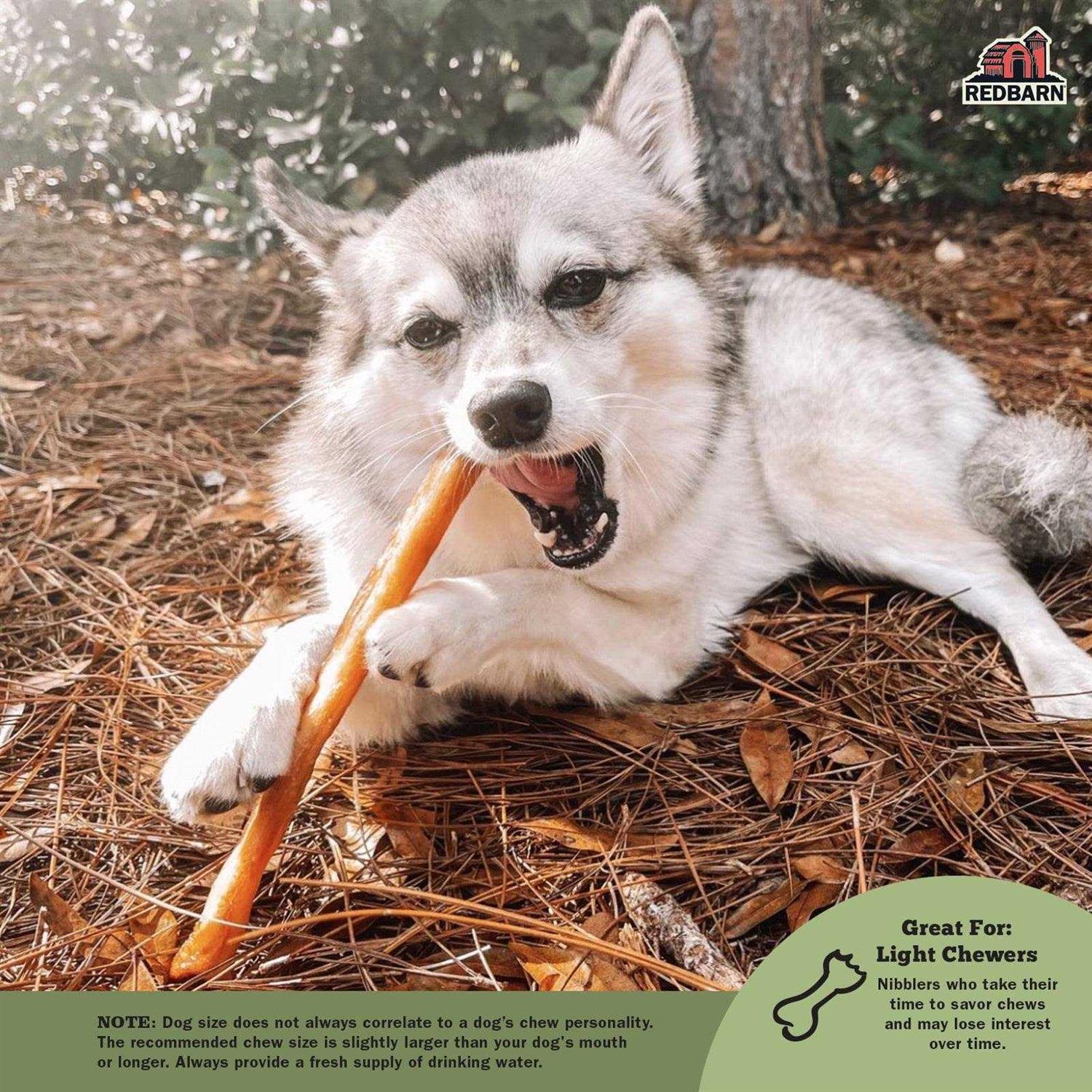 Redbarn Collagen Dog R24110