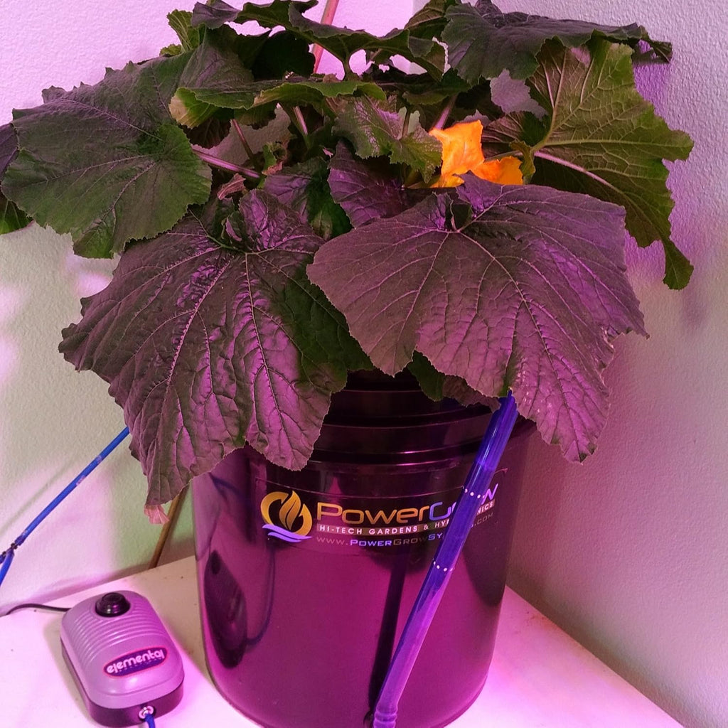 10 inch 5 Gallon Hydroponic Bucket Kit U9211