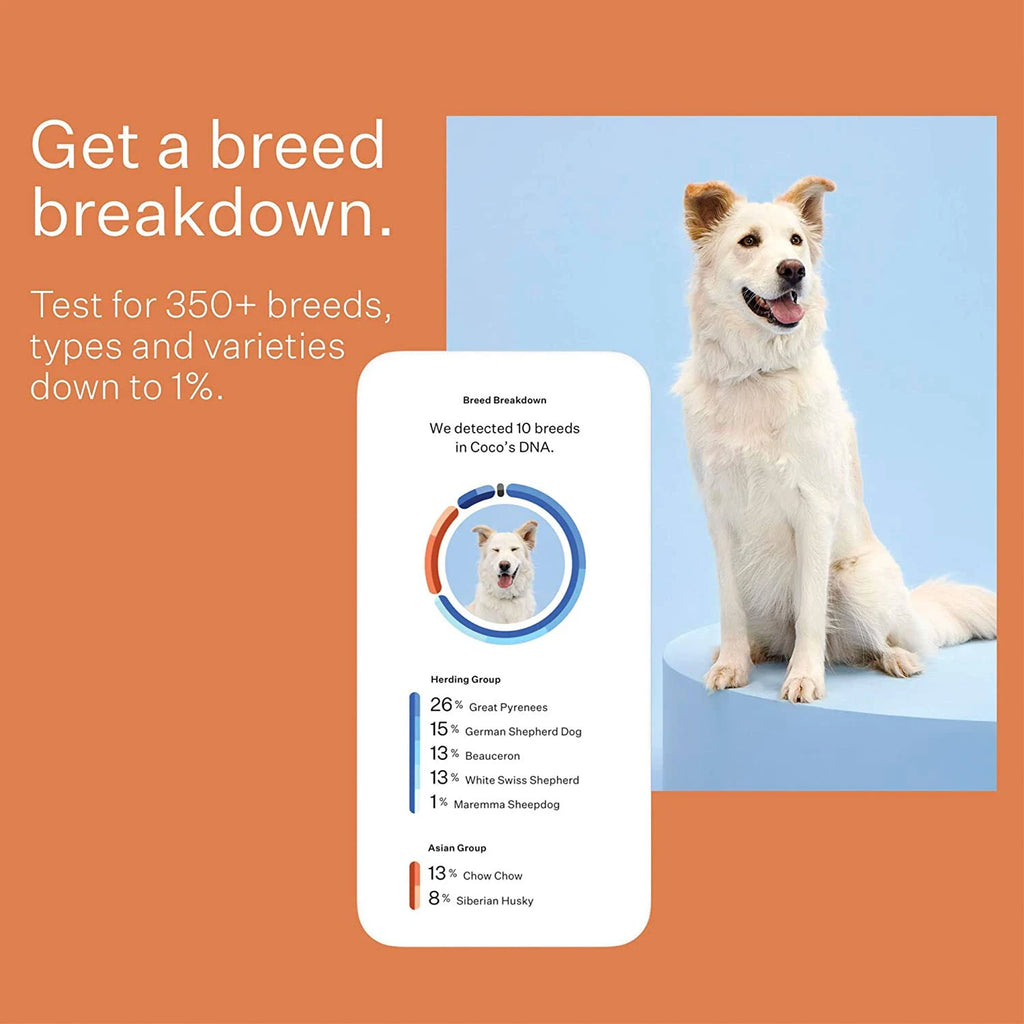Dog Breed Identification DNA Test Kit N562