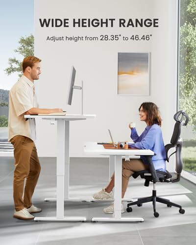 48 x 24 Inches Height Adjustable Electric Standing Desk with Memory F174