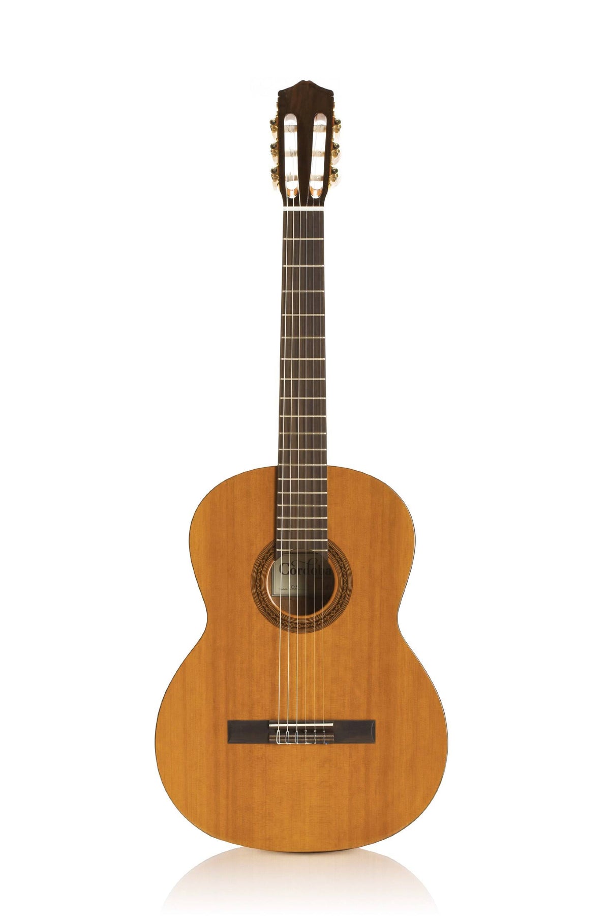 C5 Acoustic Nylon String Classical Guitar L532