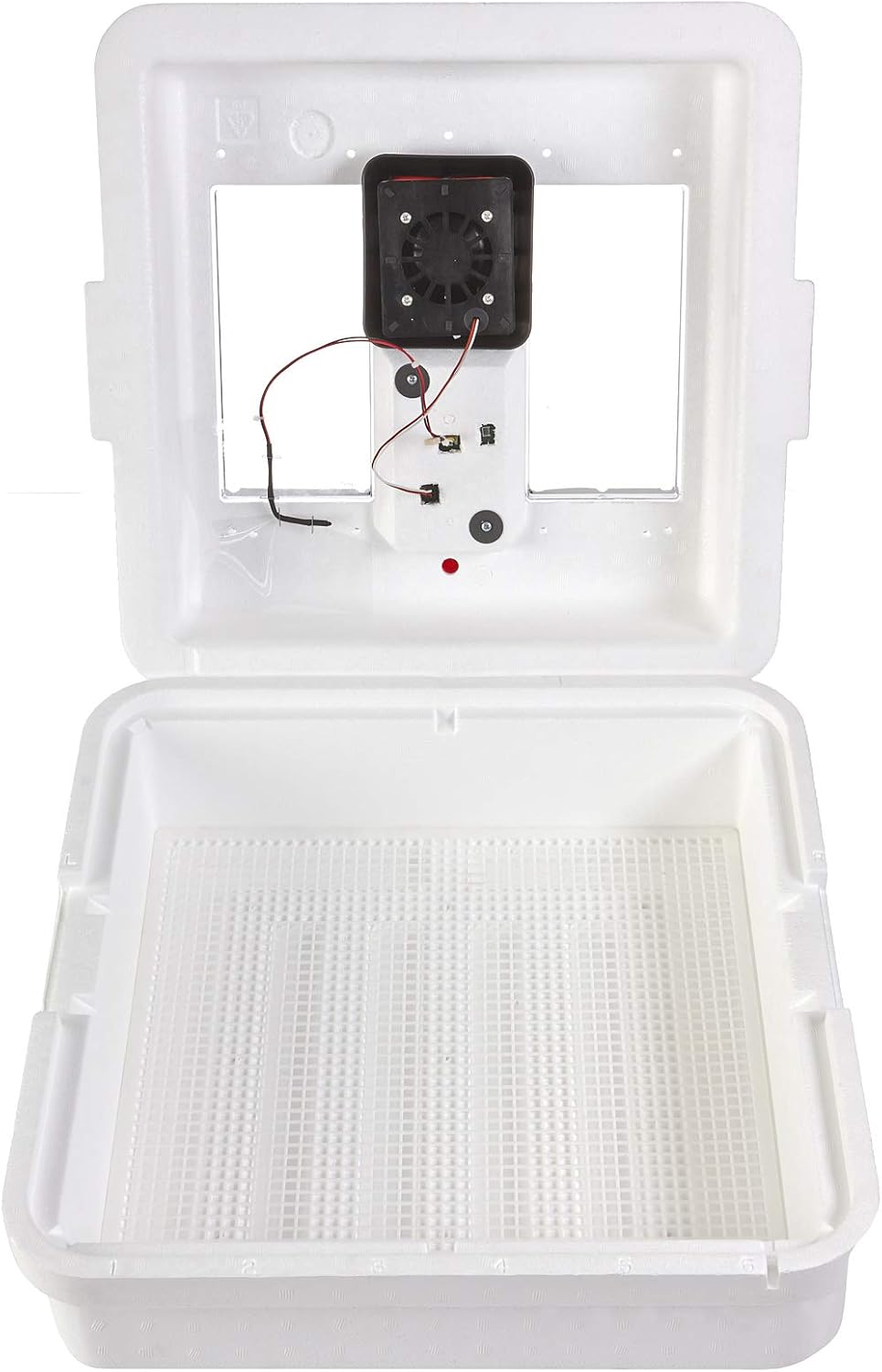 41 Egg Incubator with Temperature and Humidity Control D1904