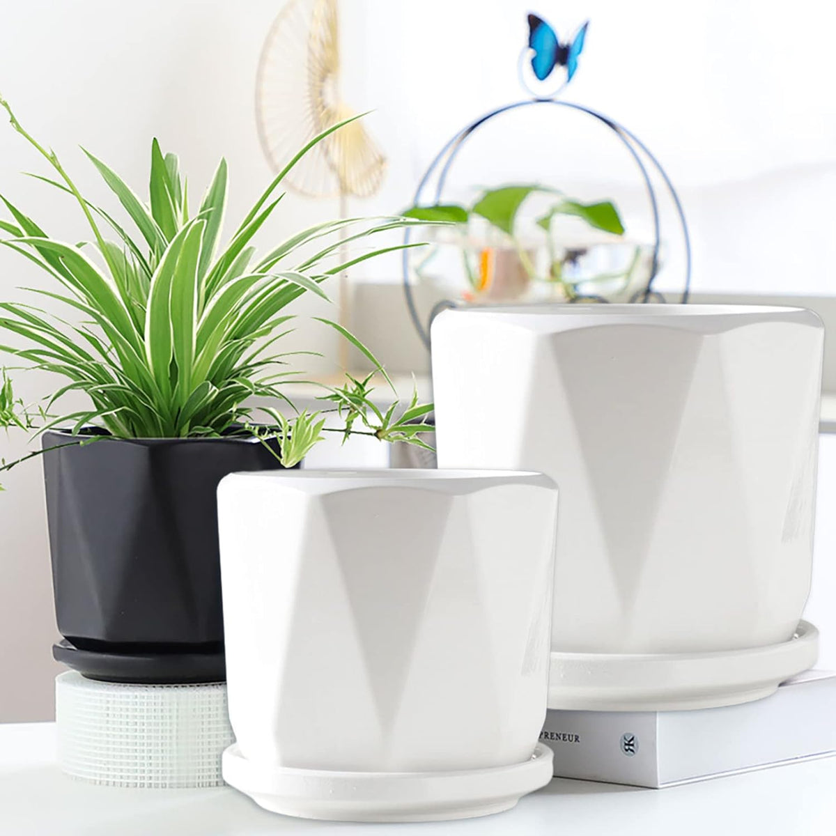 Set of 3 White Ceramic Plant Pots with Saucer Y9508