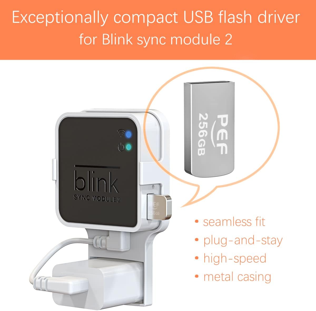 256GB USB Flash Drive for Blink Sync Module 2 M4992