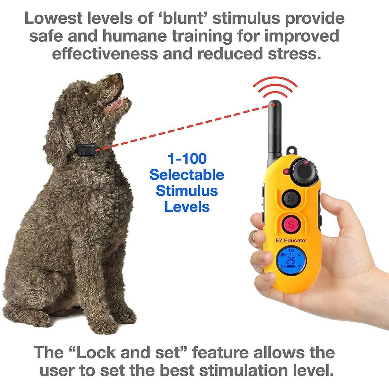 Remote Dog Training Collar with Vibration G87849