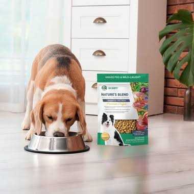 Freeze-Dried Dog Food A39338