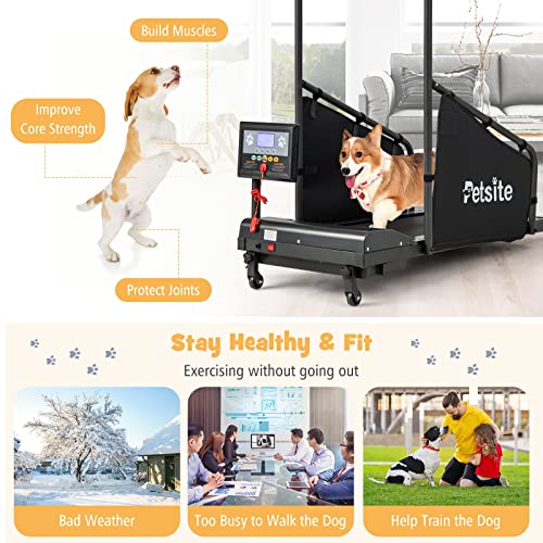 Dog Treadmill with LCD Display Screen, 220 LBS K169085
