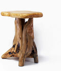 Tree Stump Side Table, 19" Tall R646